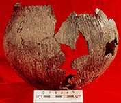 Fragmented pottery made by Sioux, colour is a light brown with lots of texture on the outside of the pot. The background of the image is red. 